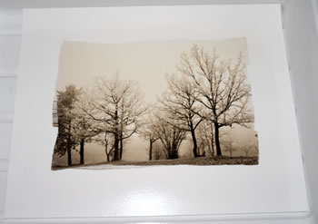 platinum-palladium printing-wet workspace